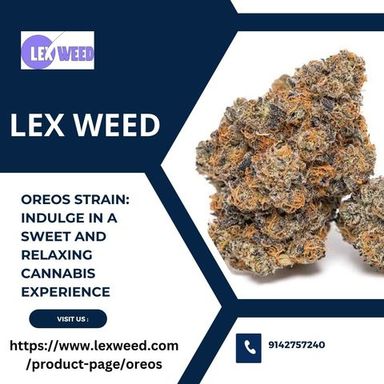 reos Strain.jpg