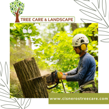 Tree Care Services Sacramento.png