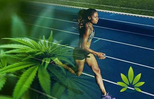 cbd-for-athletes-what-you-should-know-and-what-pro
