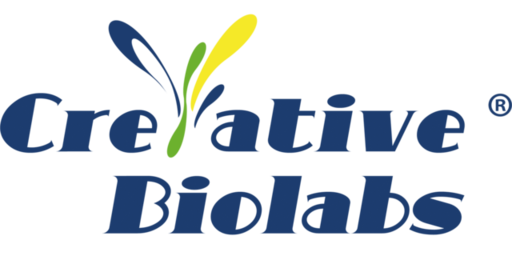 biolabs.com-1921x690-color.png