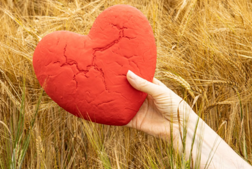 What Is Heart Screening and When Do You Need It.pn
