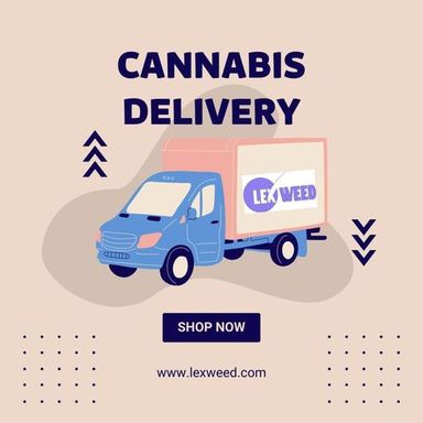 Cannabis Delivery in Westchester: Elevating Your E