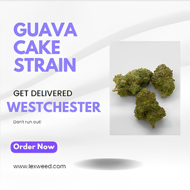 Guava Cake Strain