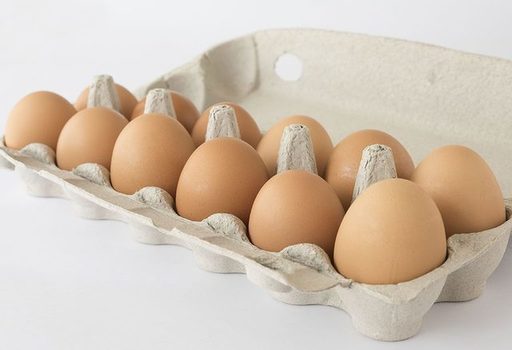 Egg-Cartons.jpg