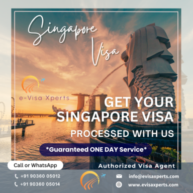 singapore e-visa at EVX.png