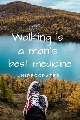 Quote-on-walking_-683x1024.jpg