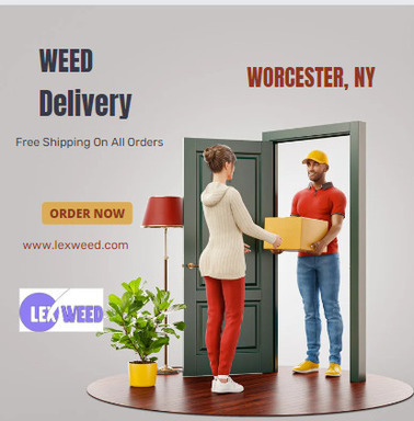 Lex Weed: Your Trusted Cannabis Partner in Westche