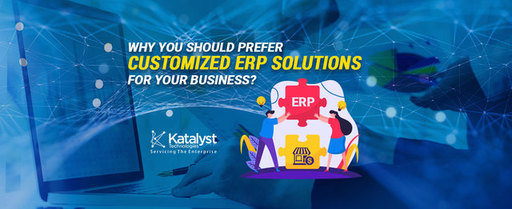 Why-you-Should-Prefer-Customized-ERP-solutions-for