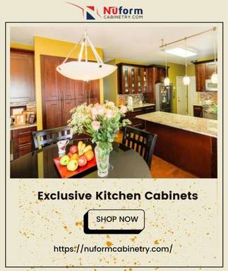Exclusive Kitchen Cabinets for Sale at Nuform Cabi