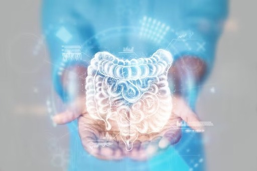 Gastroenterologist.jpeg