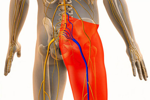 7 Myths About Sciatica.jpg