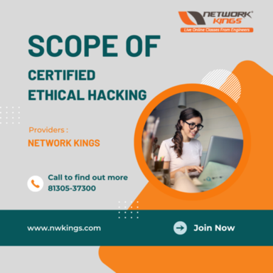 scope of ethical hacking.png