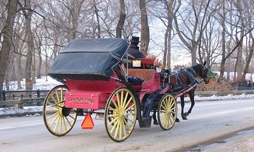 Central Park Carriages.jpg