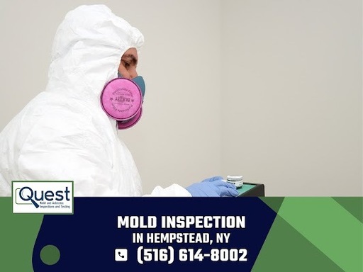 Mold inspection services near me.jpg