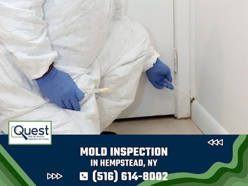 Mold Inspection in Hempstead NY.jpg